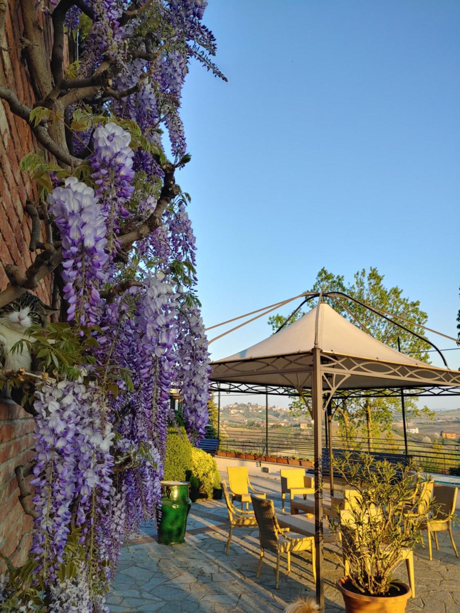 Locanda del Boscogrande Montegrosso dʼAsti Habitación foto