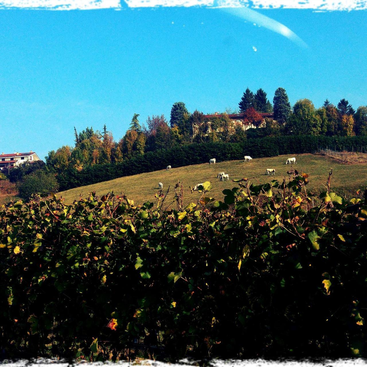 Locanda del Boscogrande Montegrosso dʼAsti Exterior foto